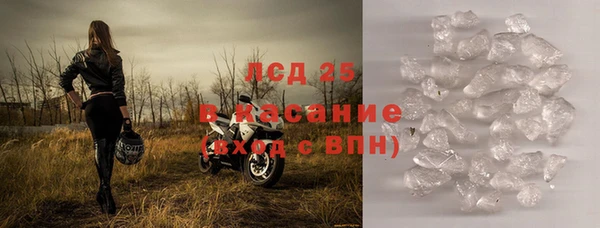прущие грибы Арсеньев