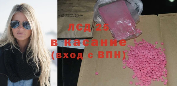 стаф Аркадак
