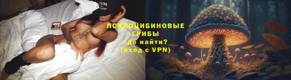 прущие грибы Арсеньев