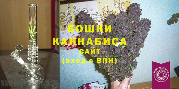 прущие грибы Арсеньев