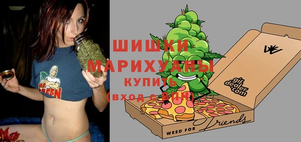 стаф Аркадак