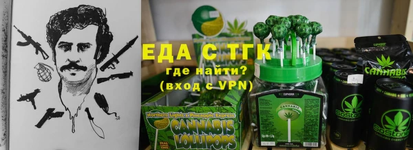 стаф Аркадак