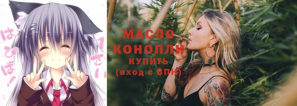стаф Аркадак
