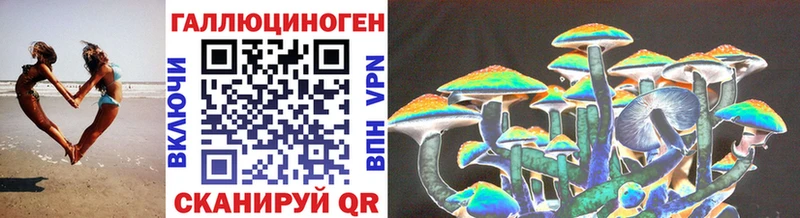 Псилоцибиновые грибы Cubensis  Фатеж 